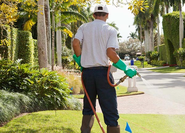 About United PA Pest Control